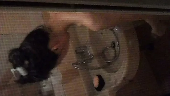 Kontrolli video xxx lesbi mu liiget.