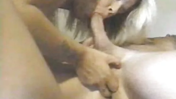 Kolmekesi näitab kiiresti, kelle peenis on lesbi sexi lahedam.