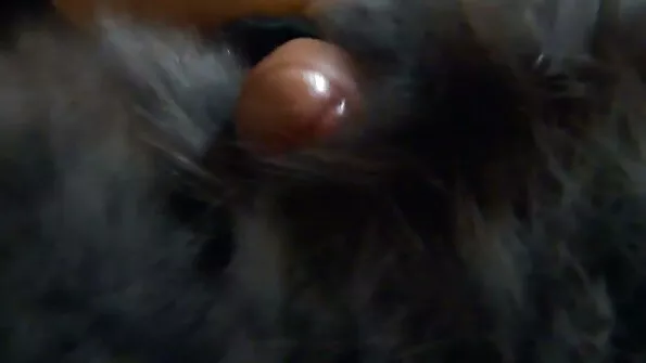 Rebi tüdruku sex film lesbi sukkpüksid, näita, kes vastutab?.