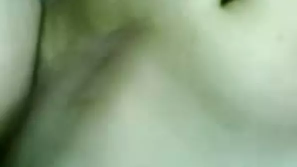 Peegeldab hommikust seksikust. xnxx lesbi